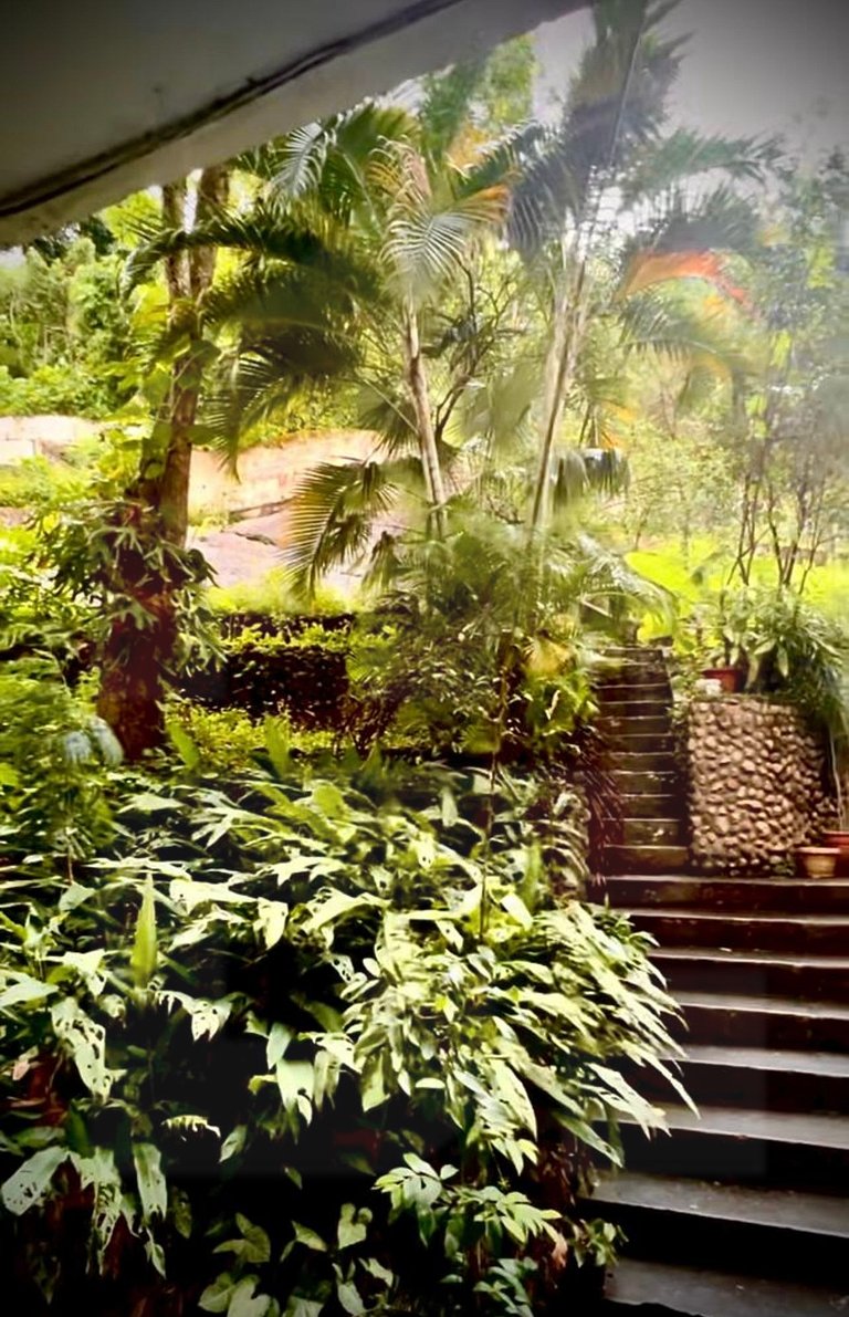 Estudio Amplio y Tranquilo Cerca de la Playa